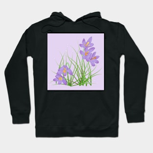 Crocus Flowers on Pale Lavender Hoodie